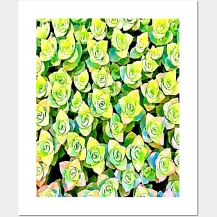 crassula perforata succulents pattern Posters and Art